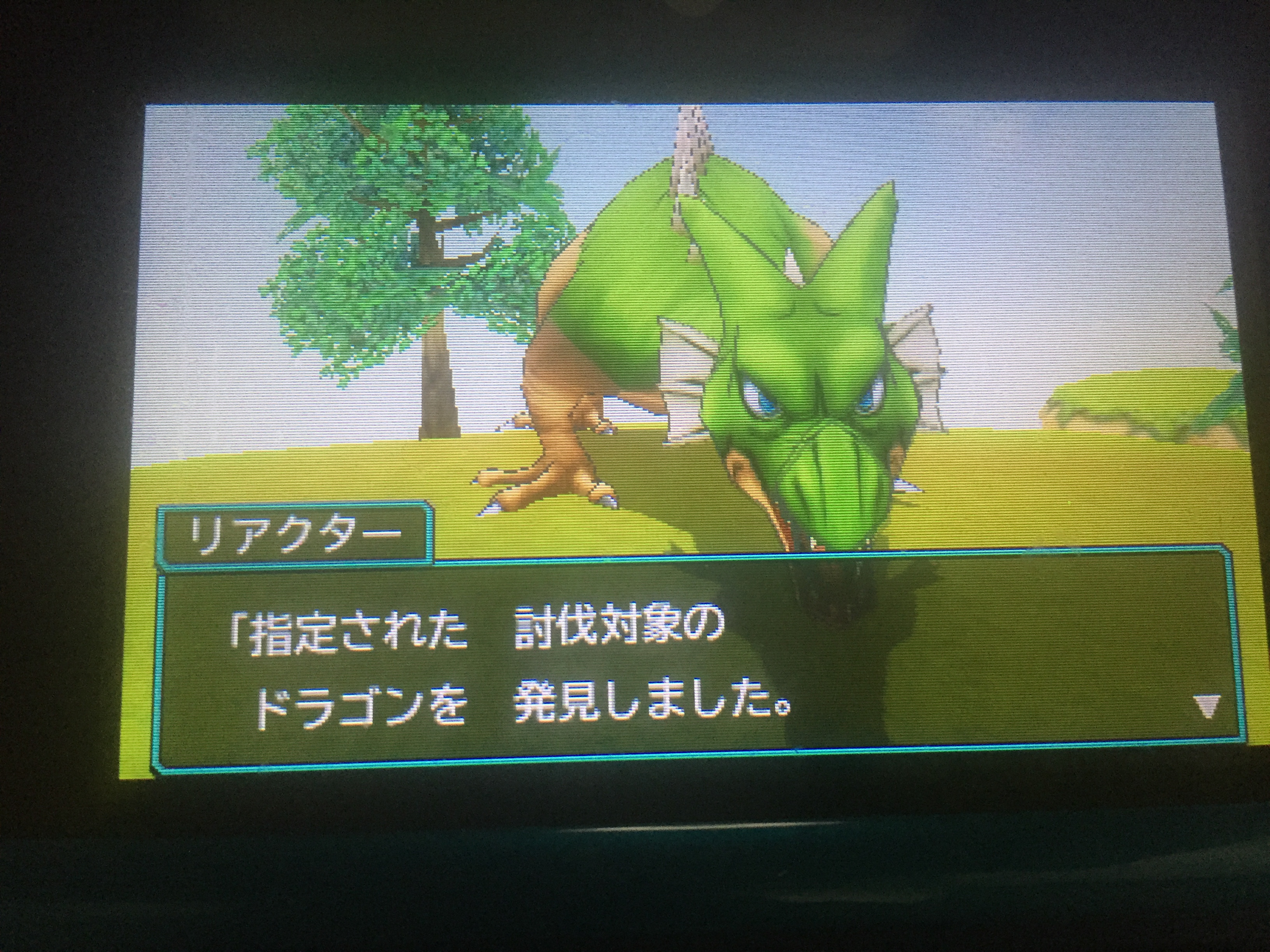 フィールド上にドラゴン発見