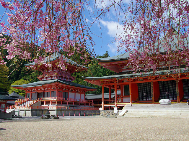 延暦寺