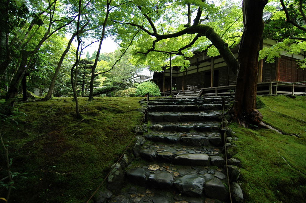 西芳寺