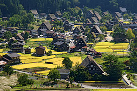 白川郷・五箇山の合掌造り集落