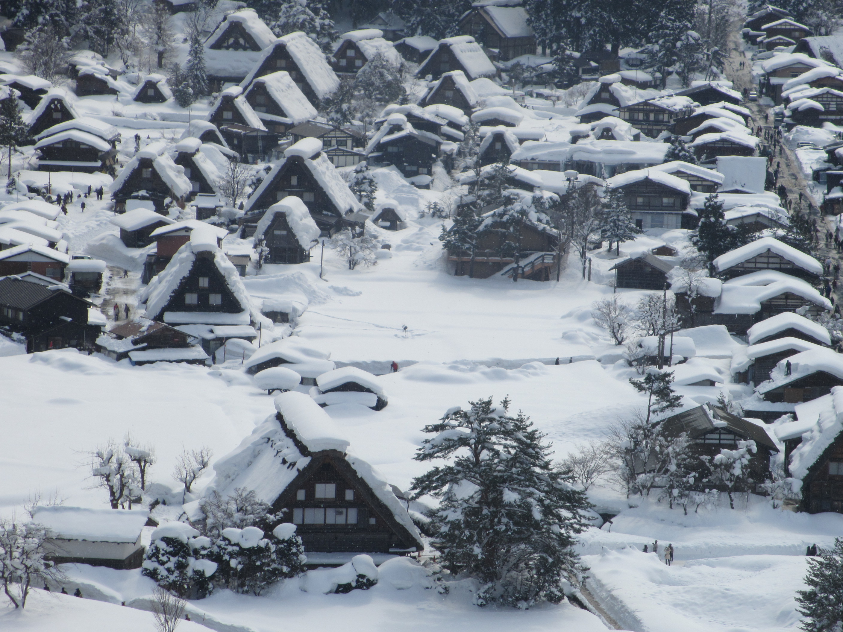 白川郷・五箇山の合掌造り集落