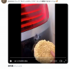 インスタントラーメンでBMWのバンパーを修理する動画が話題